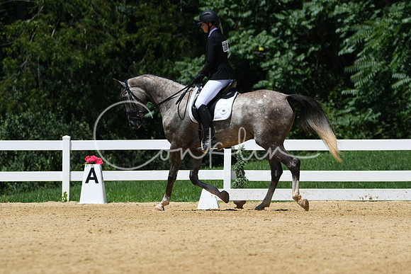 HSM_1460