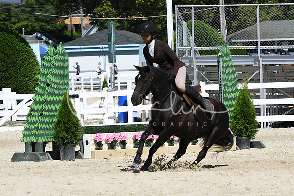 HSM_2717
