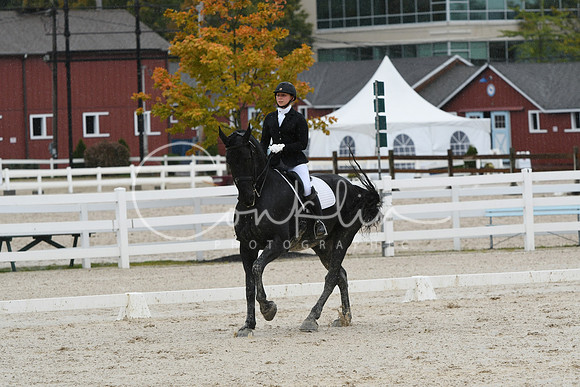 HSM_0443