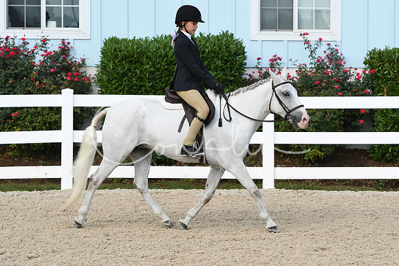 HSM_5501