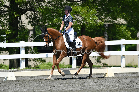 HSM_1390