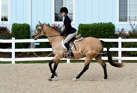 HSM_5527-1