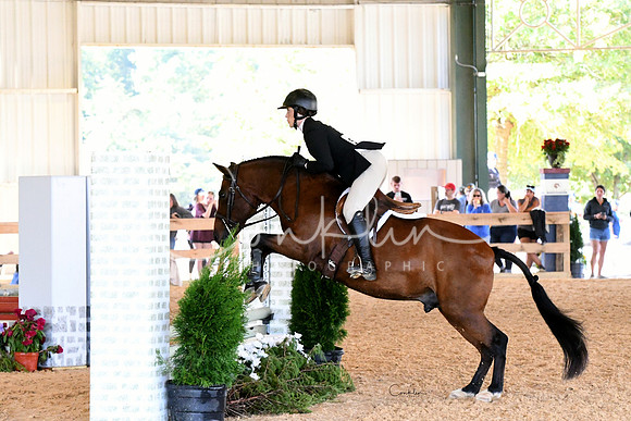 HSM_3996-1