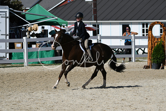 HSM_3920
