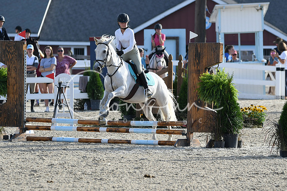HSM_1294