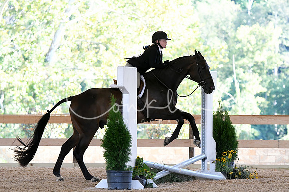 HSM_2928-1