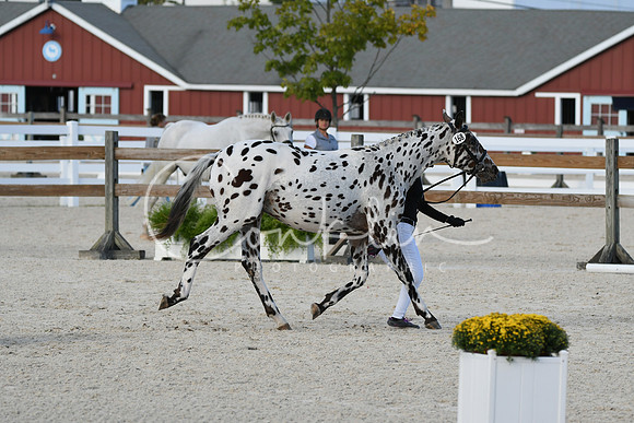 HSM_5497
