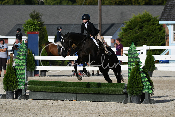 HSM_4341