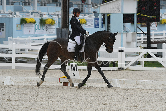 HSM_0502