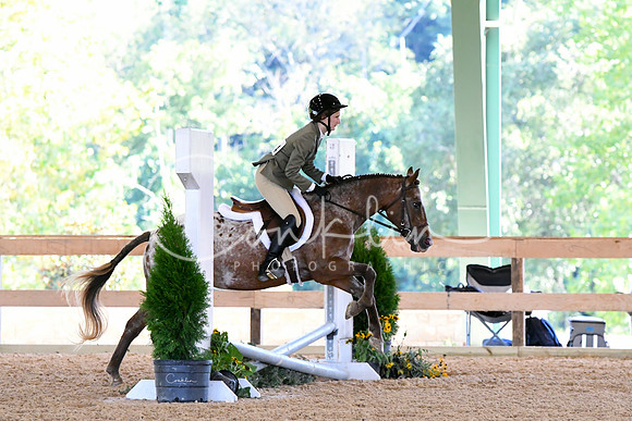 HSM_2793-1