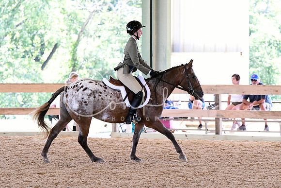 HSM_2209-1