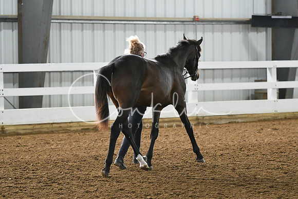 HSM_3641