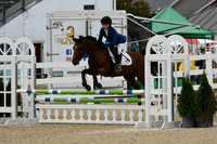 HSM_2820