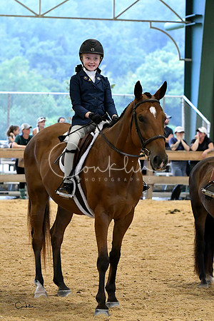 HSM_4164-1