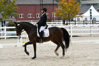 HSM_0477