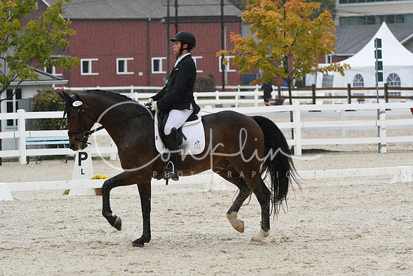 HSM_0477