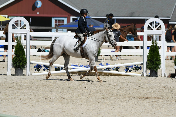 HSM_3294
