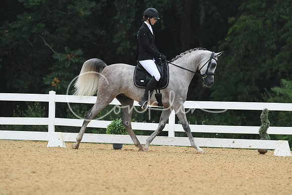 HSM_0633