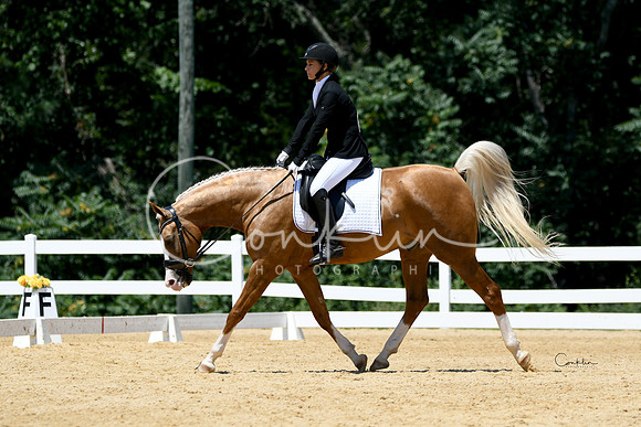 HSM_1394-1
