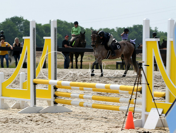 HSM_4581-1