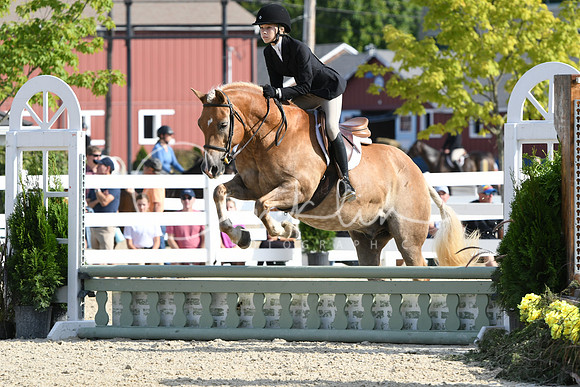 HSM_5795