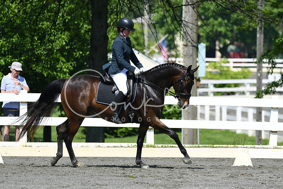 HSM_1199