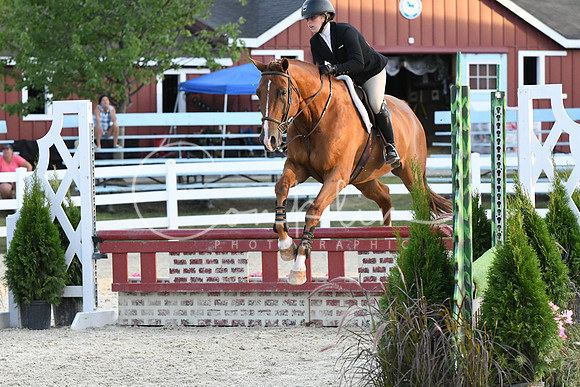HSM_0313