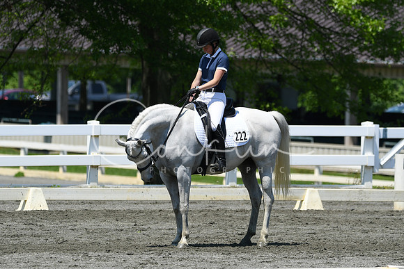 HSM_1613