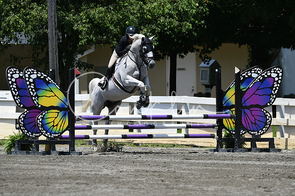 HSM_3198