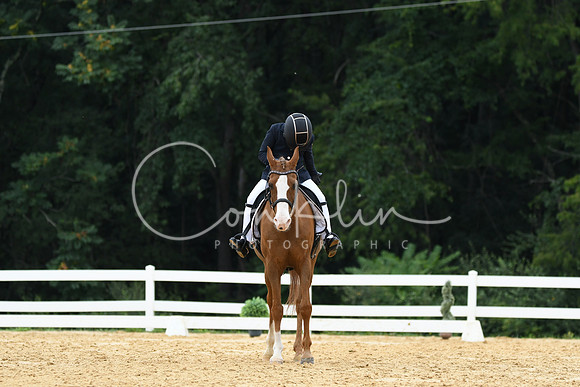 HSM_0228