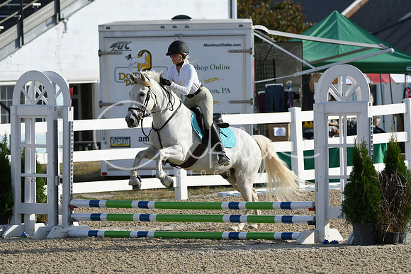 HSM_1290
