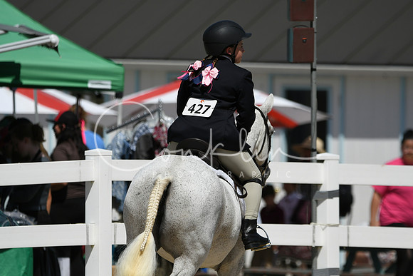 HSM_3135