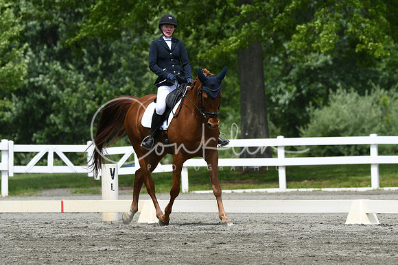 HSM_0552