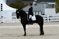 HSM_0163
