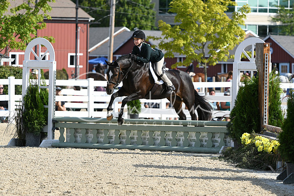 HSM_5940