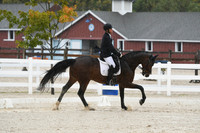 HSM_0483