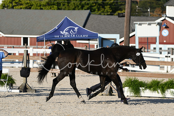 HSM_5557