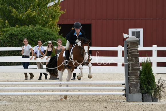 HSM_2339