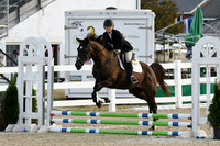 HSM_0972-1