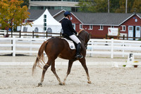 HSM_0539