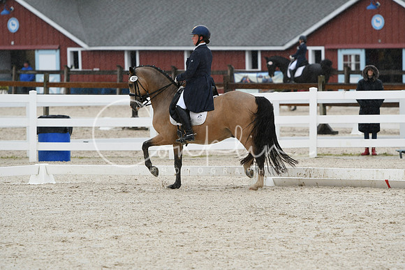 HSM_0240