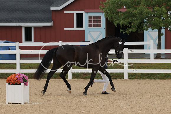 HLK_4017