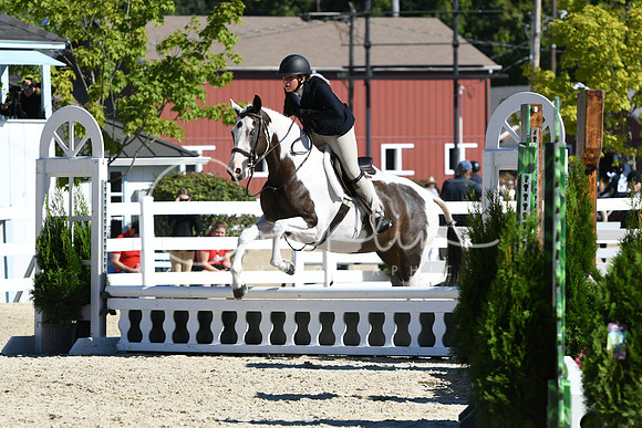 HSM_2573