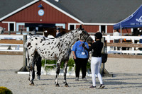 HSM_5480
