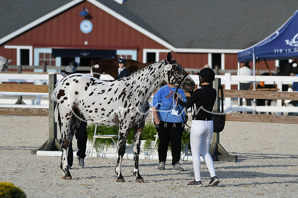 HSM_5480