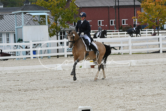 HSM_0272