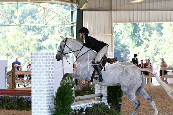 HSM_4009-1