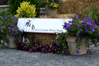 HSM_3668