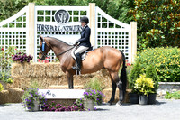 HSM_3228