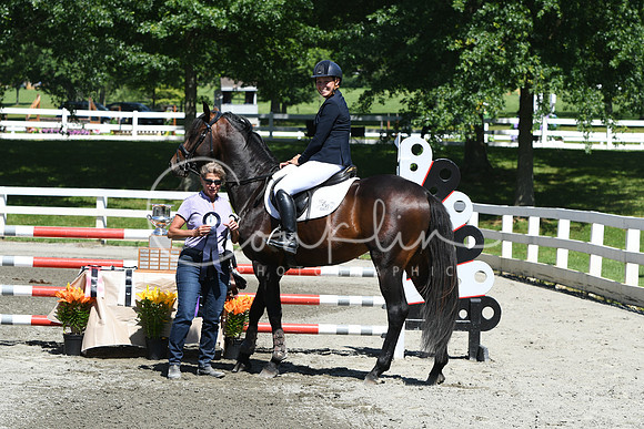 HSM_3576